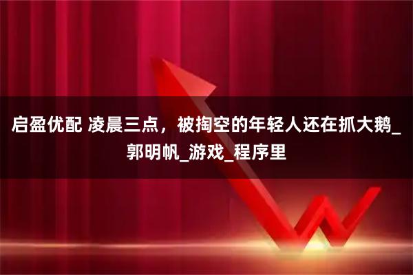 启盈优配 凌晨三点，被掏空的年轻人还在抓大鹅_郭明帆_游戏_程序里