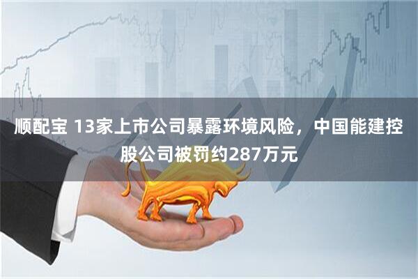 顺配宝 13家上市公司暴露环境风险，中国能建控股公司被罚约287万元